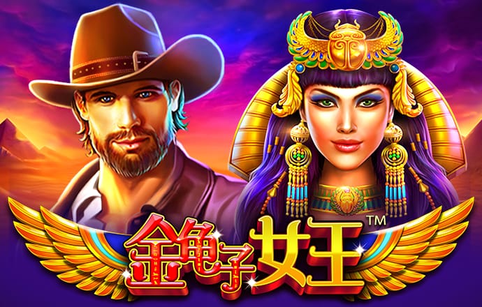 彩虹网官方网站进入sottop